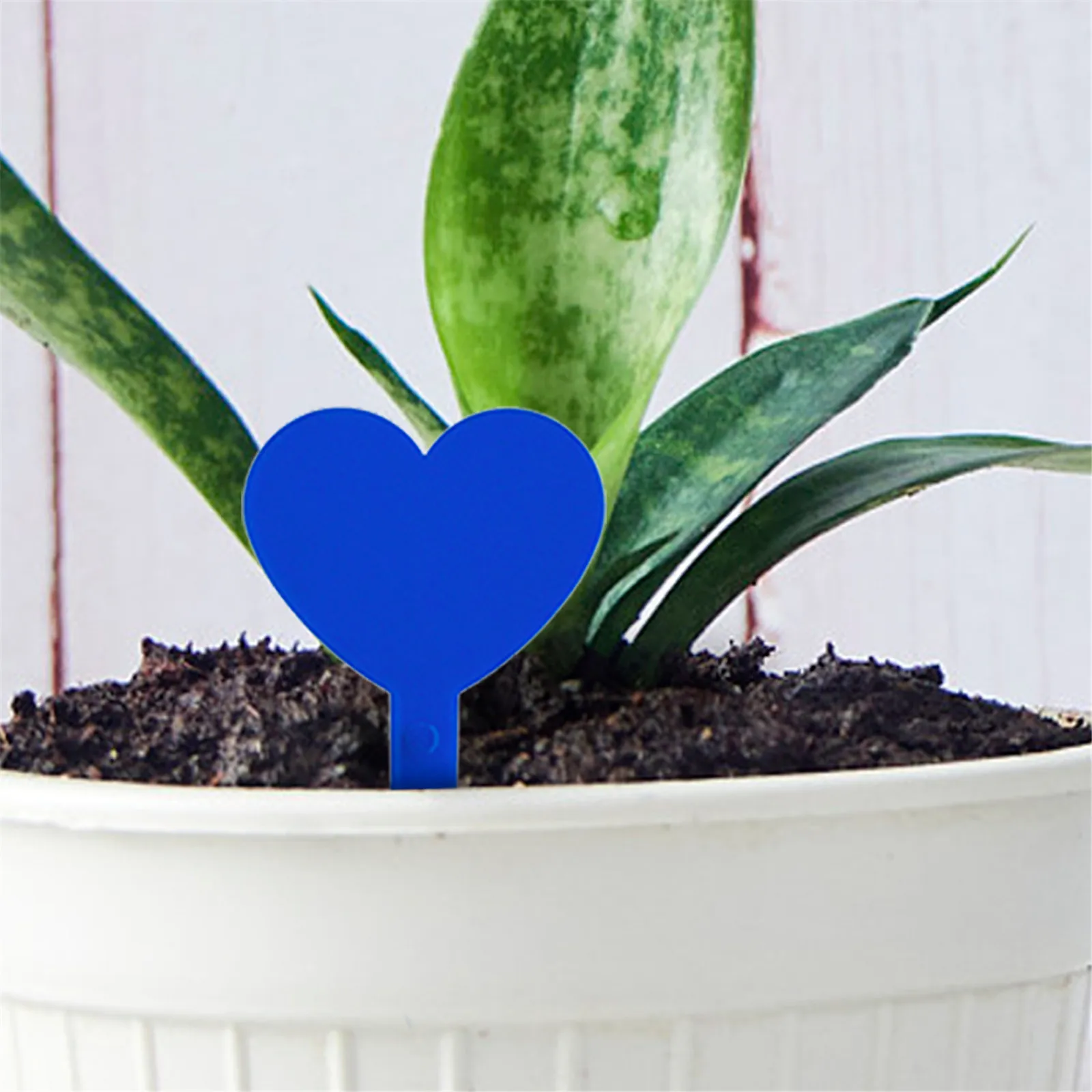 

100 Pcs Colorful Plant Marker Garden Bonsai Succulent Seeding Tags PVC Gardening Label Stake Soil Paint Stick Garden Plant Label