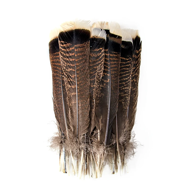 

10pcs New High Quality Real Natural Turkey feathers 24-30CM feathers For crafts Diy Wedding Home Decoration plumes wholesale
