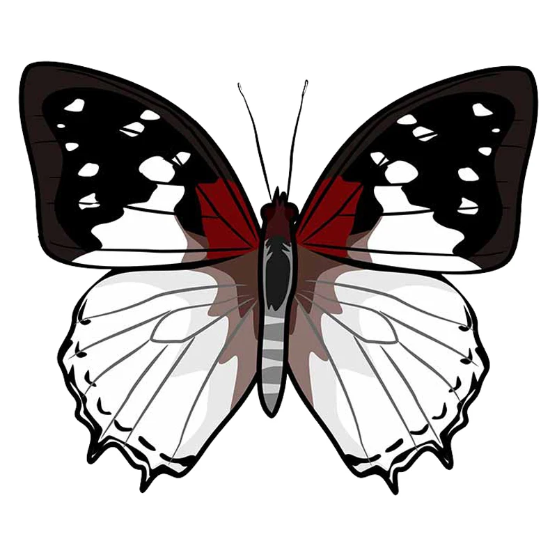 

13cm x 11.3cm for The White Butterfly Spread Its Wings Anime Windows Car Stickers Laptop Decal Windshield RV Graphics