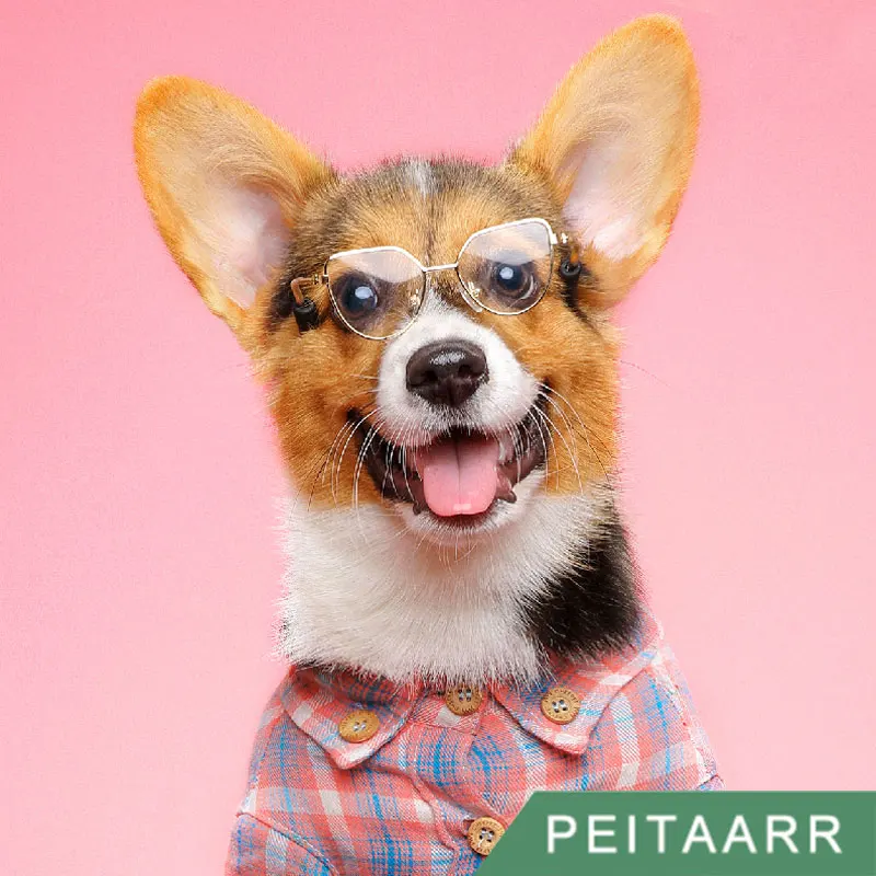 [PEITAARR] Аксессуары для домашних животных очки солнцезащитные модные щенки Малые