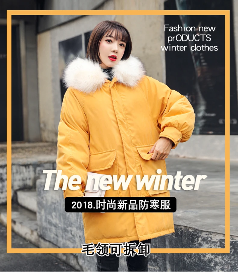 

New Winter Hooded Women Warm Down Coat Casual new Long Down Jackets Ladies Thicken Women Cotton Parka Outerwear Korean Coat