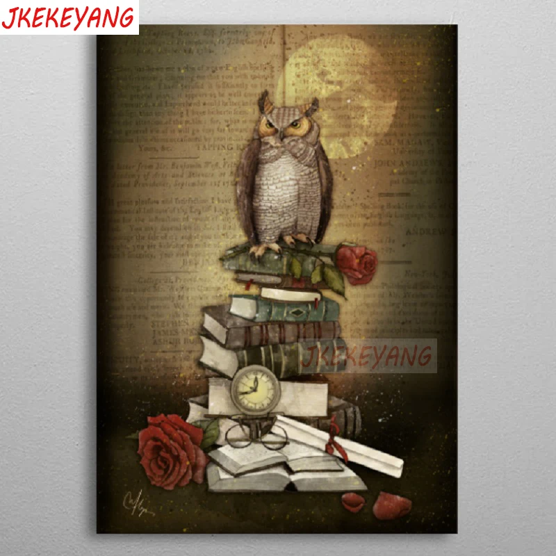 

5D DIY квадрат/Набор для рисования с круглыми камнями и полотном картина с совой, вышивка крестом Алмазная Вышивка Узор Стразы J2503