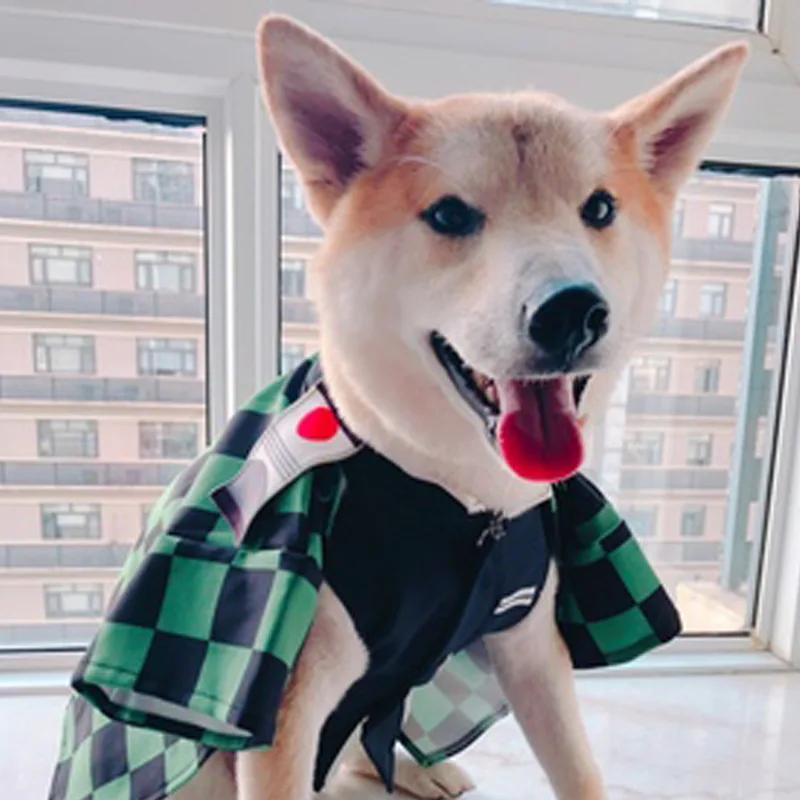 Костюм для косплея по мотивам киметасу танджиру агатсума Зеницу|Костюмы| |