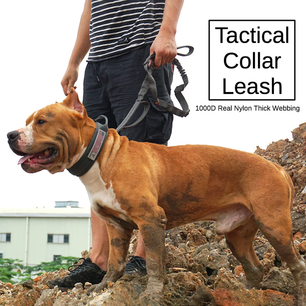 

Tactical Dog Collar Leash Set Pet Large Dog Accessories Detachable Quick Release Collar Training Personalized Pets Supplies