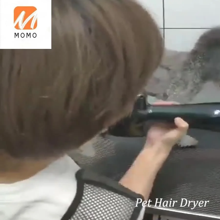 저렴한 2 In 1 휴대용 개 고양이 헤어 드라이어 빗 손질 핫 블로우 블로어 기계 브러시 헤어 애완 동물 건조기