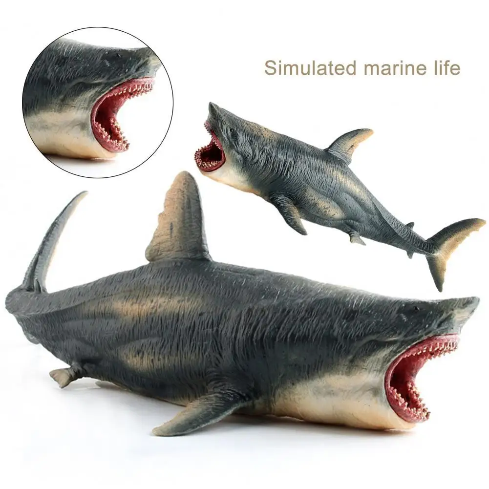 

Shark Cognitive Toy Imagination Fine Workmanship Vibrant Color Large Megalodon Shark Toy for Students