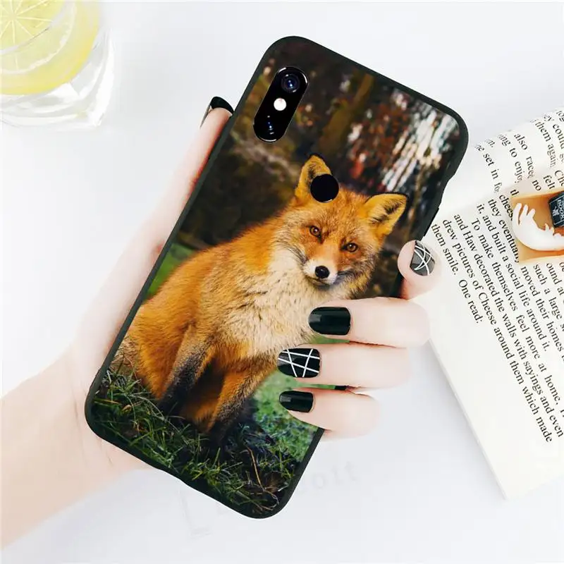 

Fox cute animal Phone Case For Xiaomi Mi A1 A2 5 6 6PLUS 8 9 SE Lite MIX 2 2S MAX 2 3 Pocophone F1
