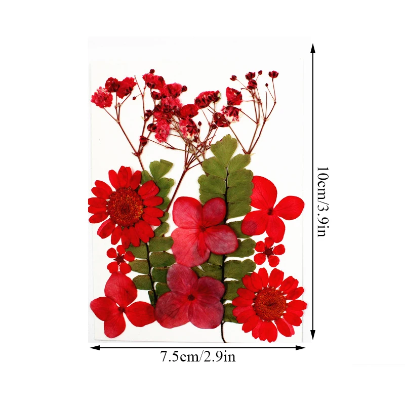 

1 Pack Dried Flower Dry Plants For DIY Candle Epoxy Resin Fashion Pendant Necklace Jewelry Making Craft Nail Art Decoration