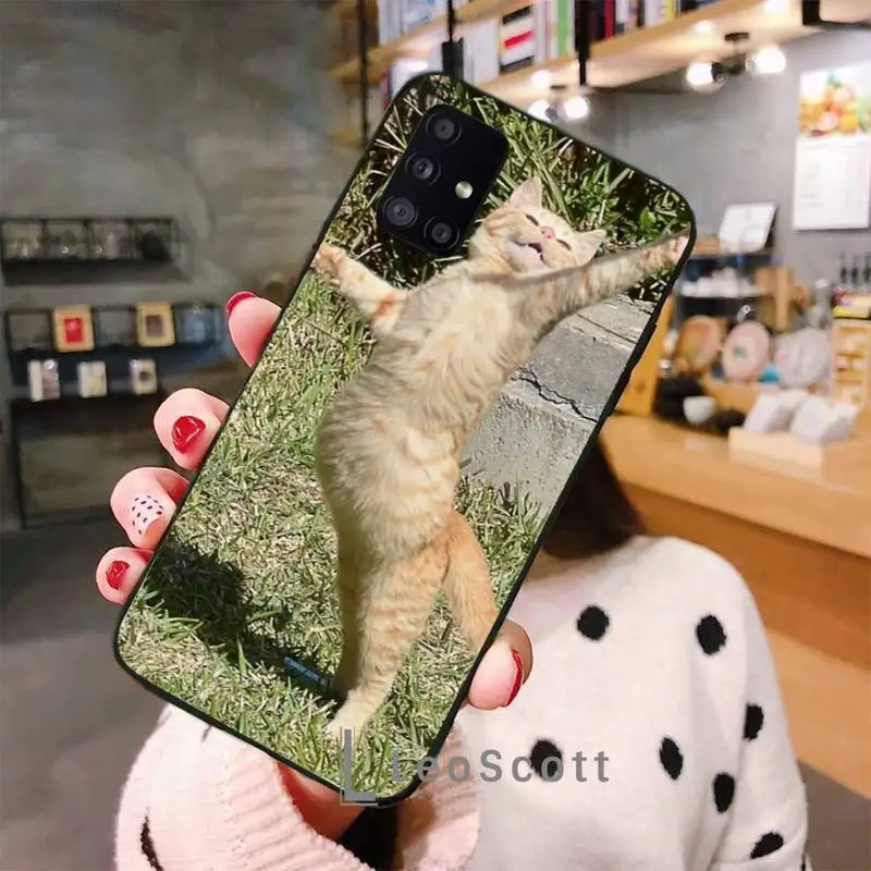 

Orange Cat Phone Case For Samsung A50 A51 A71 A20E A20S S10 S20 S21 S30 Plus ultra 5G M11