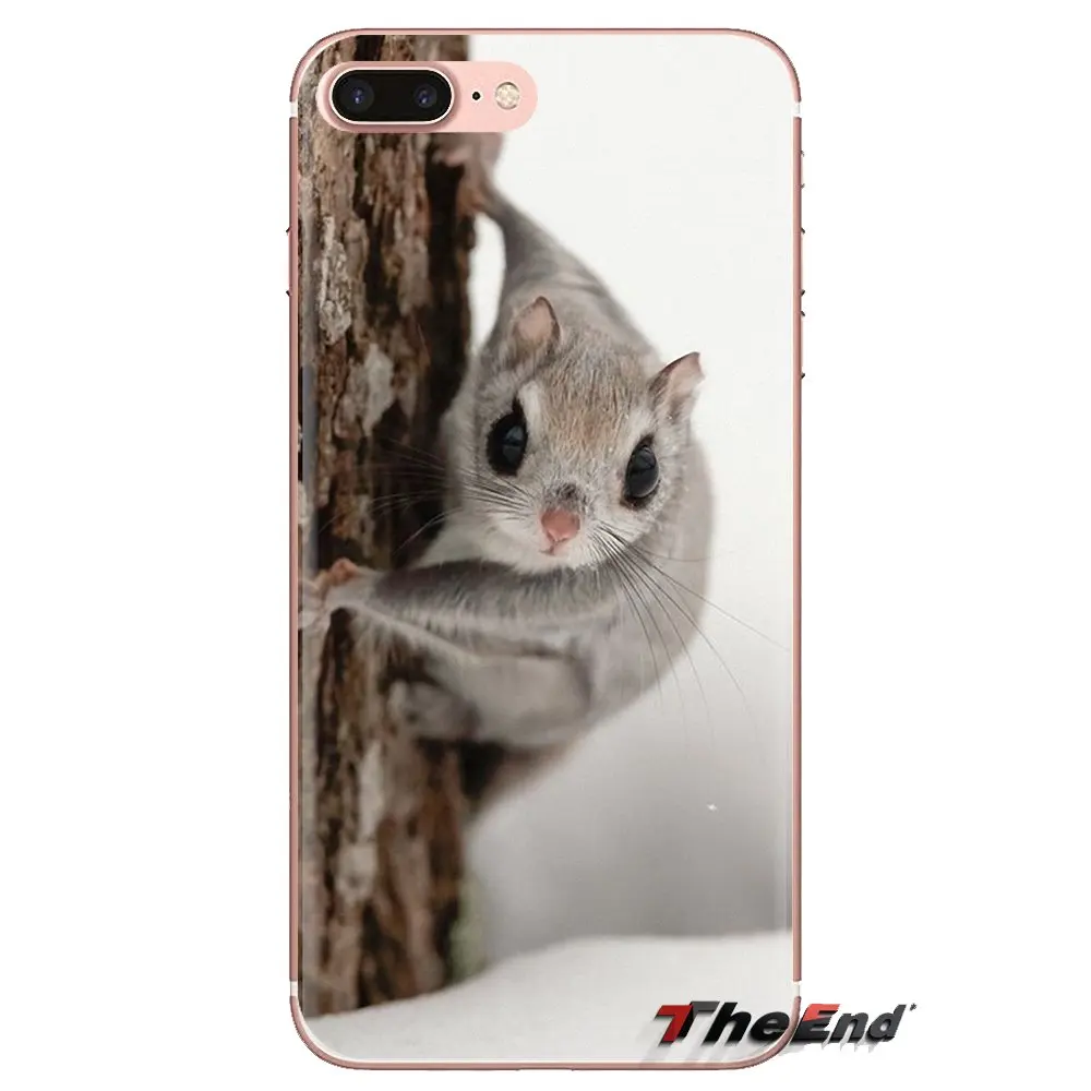 squirrel For LG G3 G4 Mini G5 G6 G7 Q6 Q7 Q8 Q9 V10 V20 V30 X Power 2 3 K10 K4 K8 2017 Soft Transparent Shell Covers |