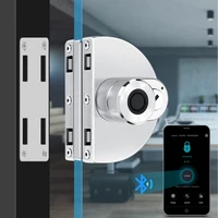 bluetooth app smart fingerprint lock 304 stainless steel waterproof biometric glass door lock built in rechargeable battery