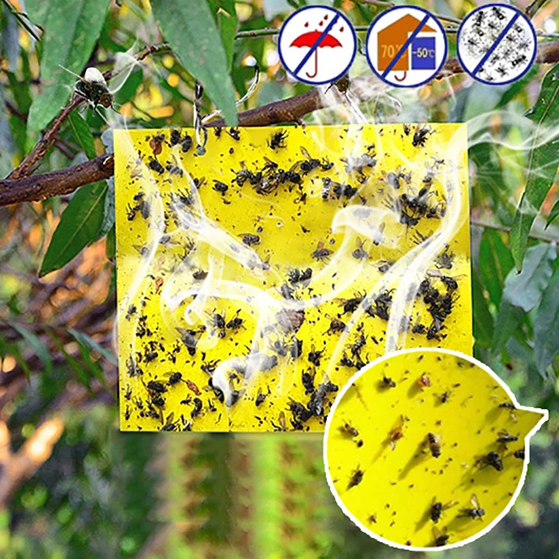 

1PCS Hanging Flycatcher Reusable Folding Fly Trap Summer Mosquito Trap Top Catcher Fly Wasp Insect Bug Killer Fly catcher