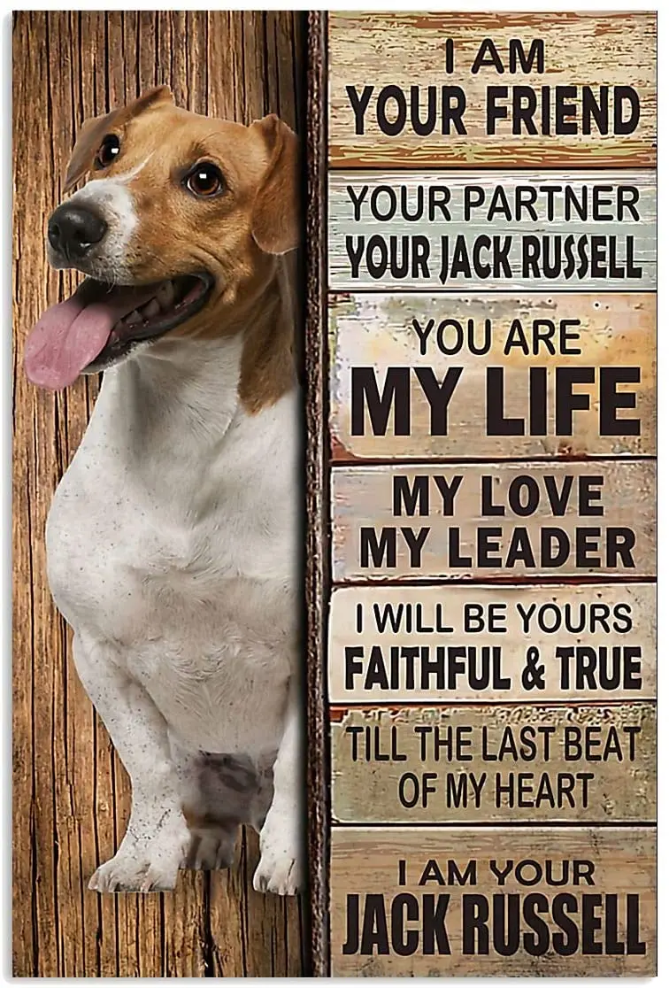 

Posters Garden Decoration Out Door Sign Beagle Border Collie Vintage Metal Plate Golden Retriever Home Living Room Decoration