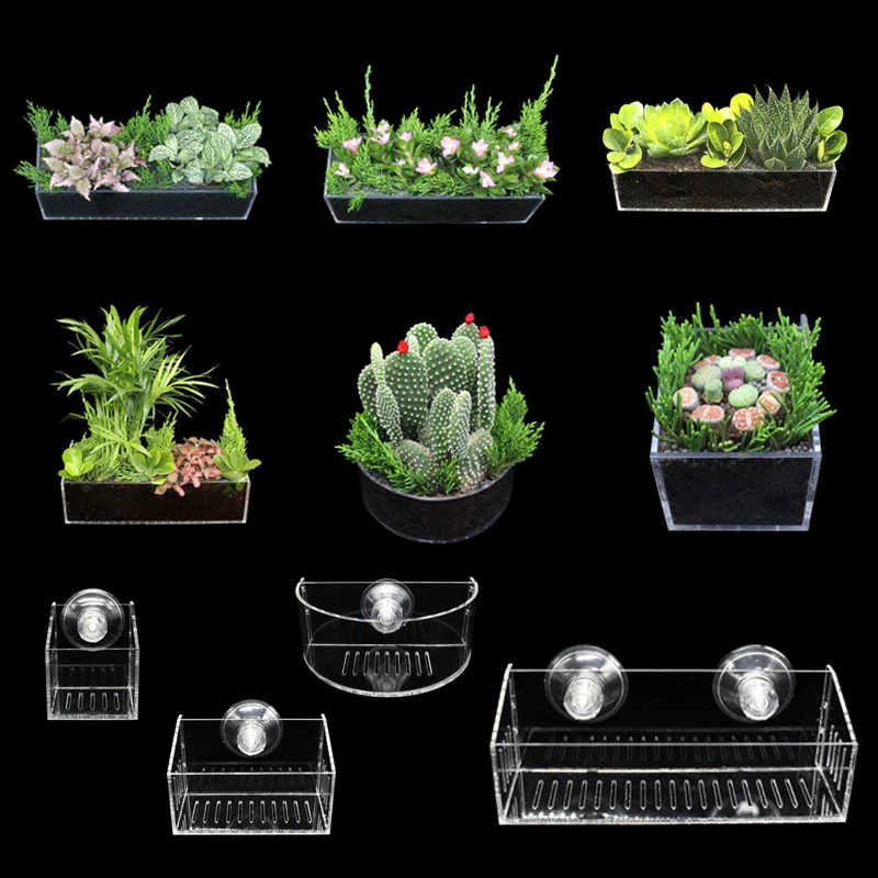 

Acrylic Aquatic Planting Cup Suction Cup Aquarium Landscaping Device Planting Cup Water Plant Pot Planter Aquarium Landscaping