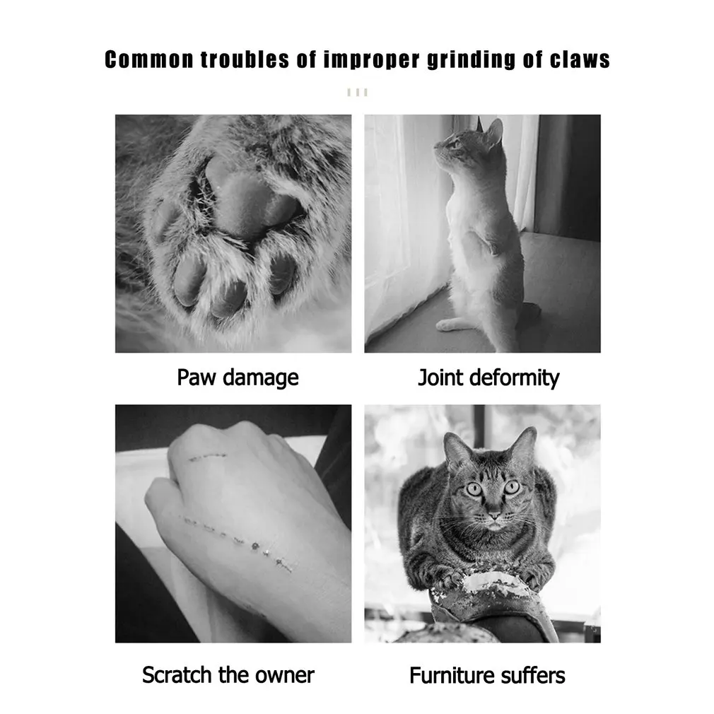 

Round Type Cat Catnip Scratch Board Nail Scraper Mat Bed Toy Cats Scratcher Corrugated Paper Pet Kitten Pad Claw Care Cactus