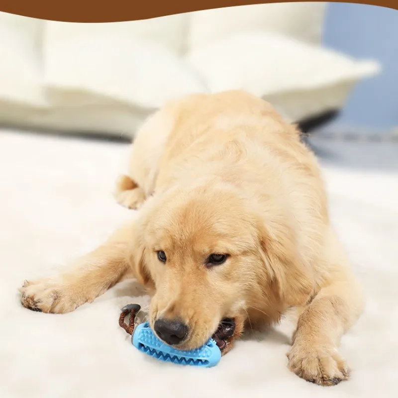 Детская зубная щетка для собак | Дом и сад