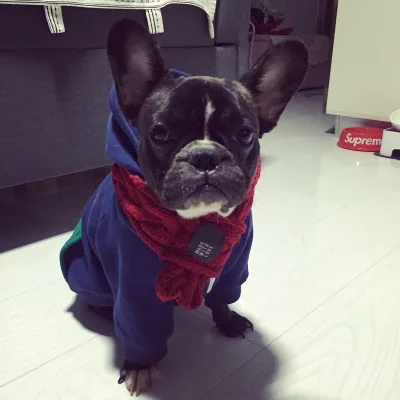 Cute Dog Hoodie Pet Clothes For Dogs Coat Jacket Cotton Ropa Perro French Bulldog Clothing Pets | Дом и сад