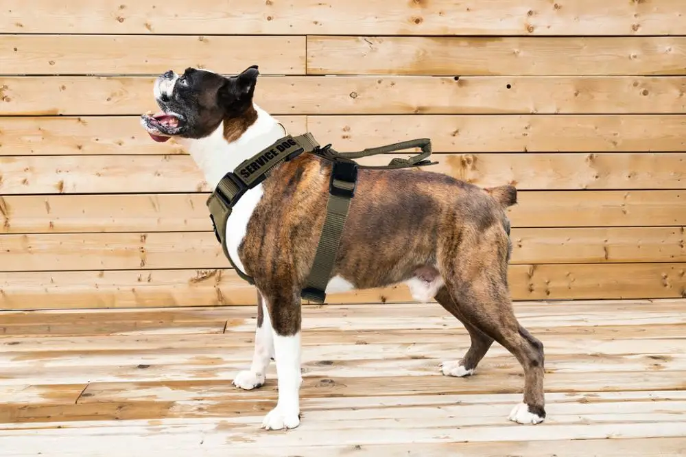 No Pull Dog Harness Front Clip Heavy Duty Easy Control Handle for Large Walking | Дом и сад