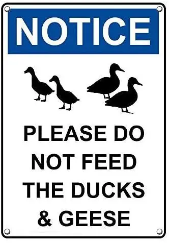 

Metal Sign Great Aluminum Tin Sign Notice Please Do Not Feed The Ducks Geese Sign 8 X 12 Inch