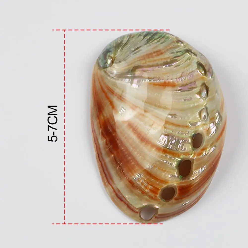 Натуральная сафлоровая Морская раковина аквариум ландшафтное украшение для