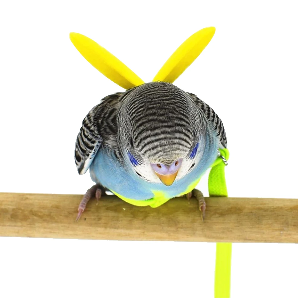 Pet Bird открытый Летающий поводок для попугая летающие плетеные ремни птиц