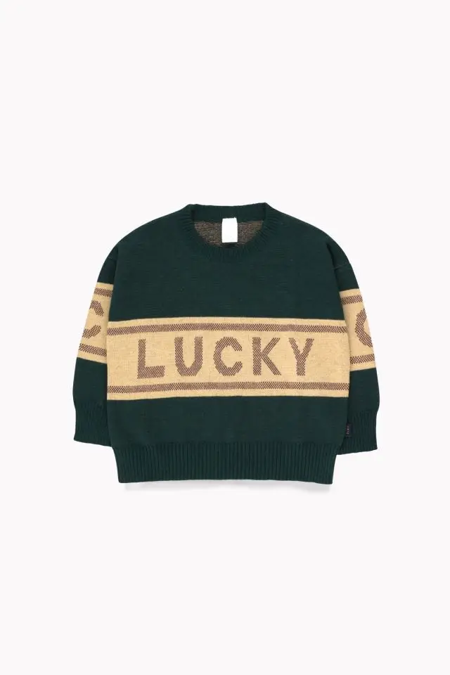 Sweater A Детский свитер осень-зима г.; трикотажный свитер для мальчиков и девочек; кардиган; крошечный детский хлопковый кардиган; шерстяной жилет; детская одежда - Цвет: Sweater A