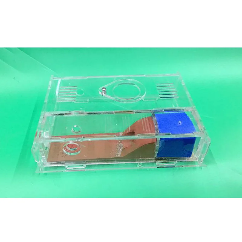 Собственная улитка дом Муравьиное гнездо акриловый муравей замок область