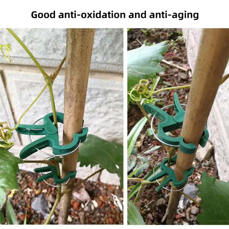 100 шт. завод Поддержка зажимы сада цветок орхидеи для стержня виноградной лозы