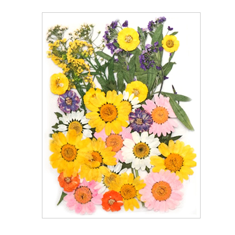 Из хрустальной эпоксидной наполнитель для сухой в виде цветочных лепестков