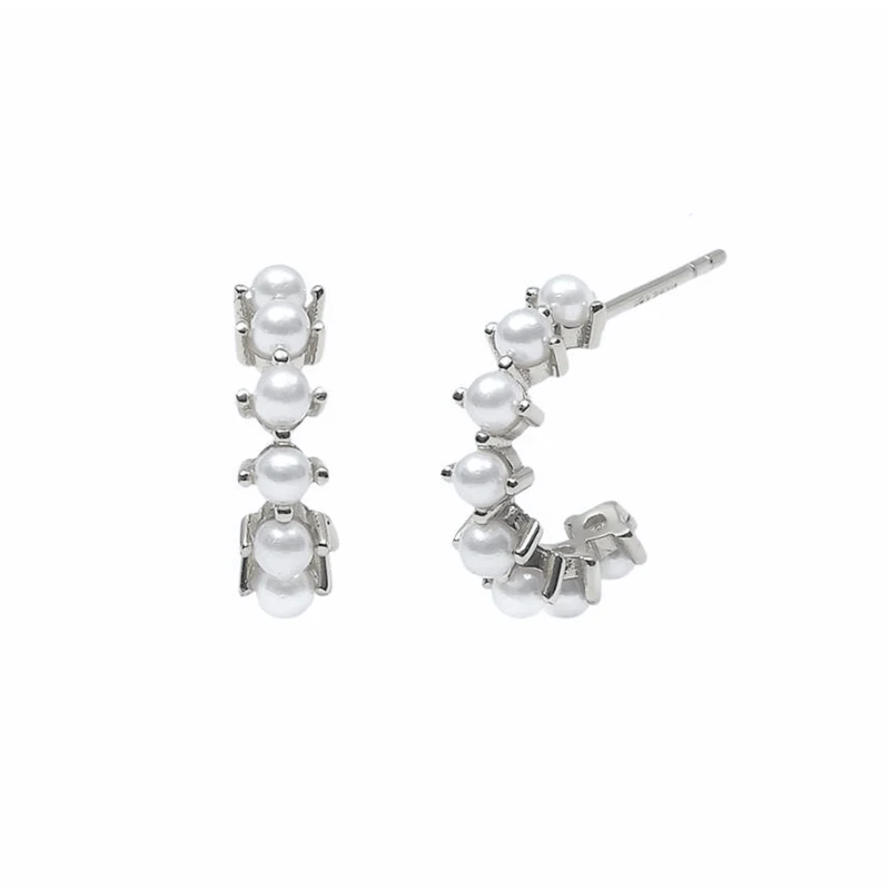 

Charming 925 Sterling Silver Series Pearl Stud Earrings Luxury Exquisite Gold And Silver Earrings For Women Jewelry Gifts