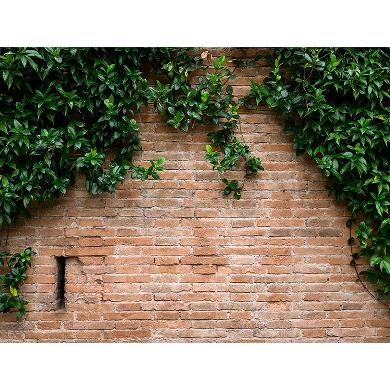 

ZHISUXI Vinyl Vintage Wooden Children Baby Portrait Photography Backdrops For Photo Studio Background 20930LTZ-03