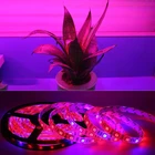 Светодиодная лампа для выращивания растений, комнатное освещение, лента полного спектра для выращивания растений, 5050 для теплиц, гидропонных систем, растений, цветов, саженцев, водонепроницаемый комплект