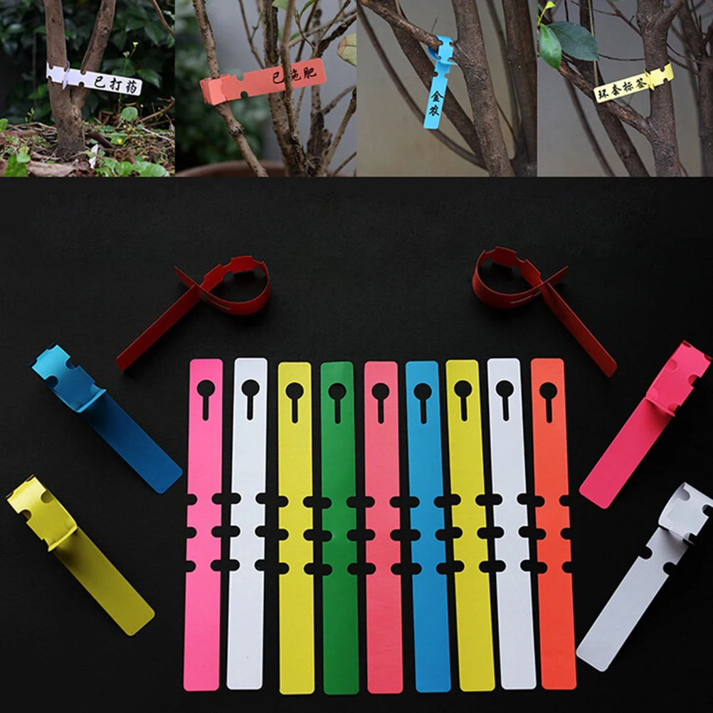 

200PCS Plastic Plant Tree Hanging Markers Tags Nursery Seed Gardening Labels New