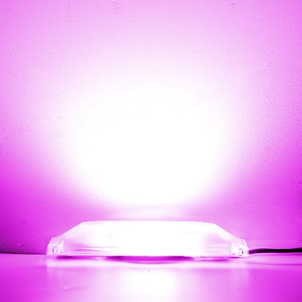 Grow Light Светодиодный смарт-чип для объектива, 220 В, 110 В, светильник для выращивания, теплый белый, водонепроницаемый, матовый, отражатель, объектив, без сварки, точечный светильник, чип, DIY светильник ing - Испускаемый цвет: Grow Light