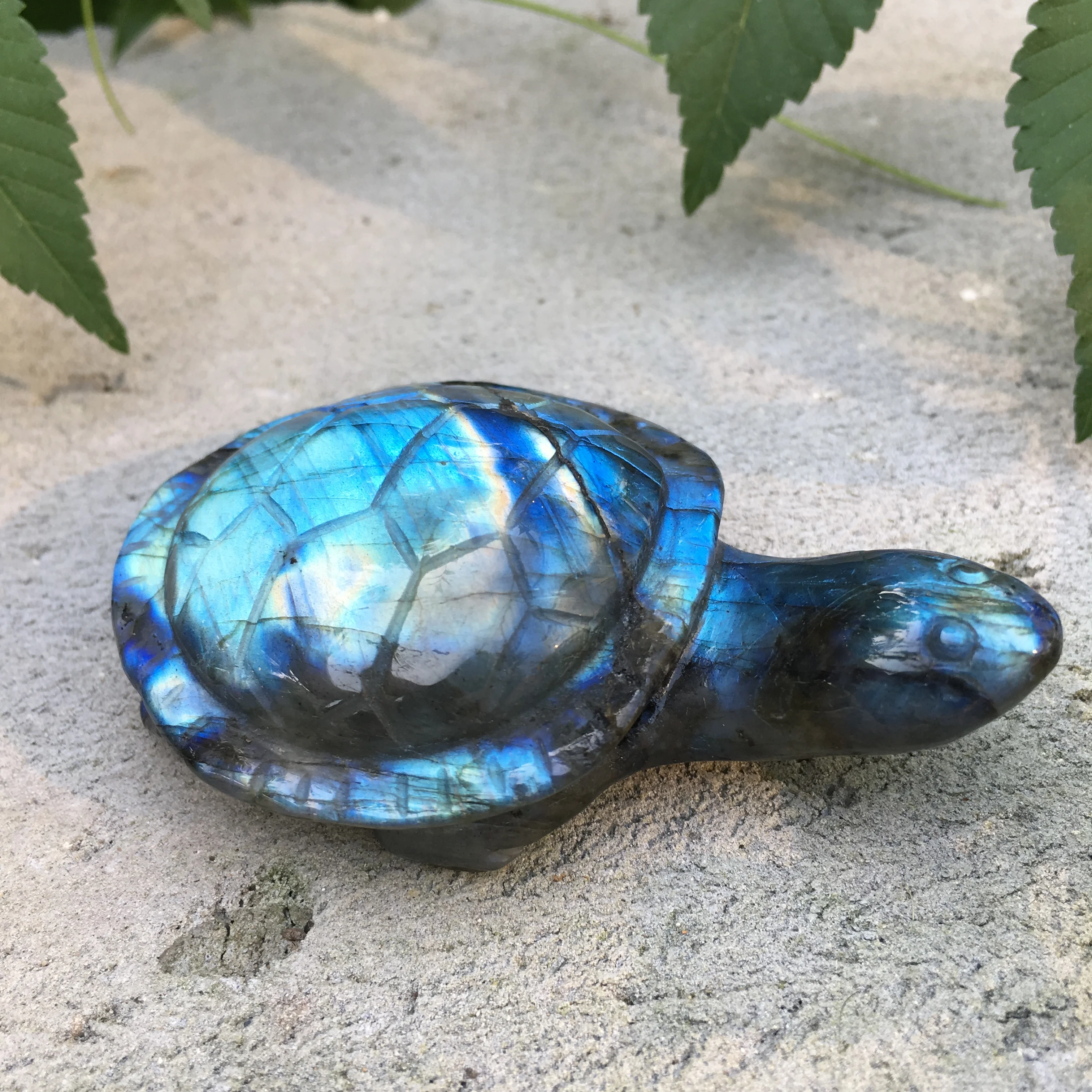 

Natural blue labradorite hand carved turtle polished crystal tortoise stones for sale 1pc