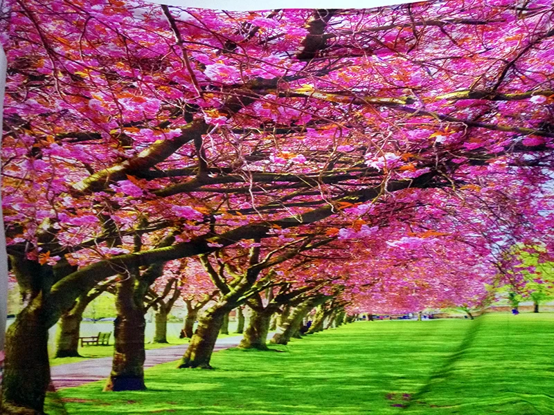 Розовый Сакура авеню винтажная ткань психоделический гобелен настенный полиэстер тонкий диван одеяло художественные настенные ковры йога коврик-шарф