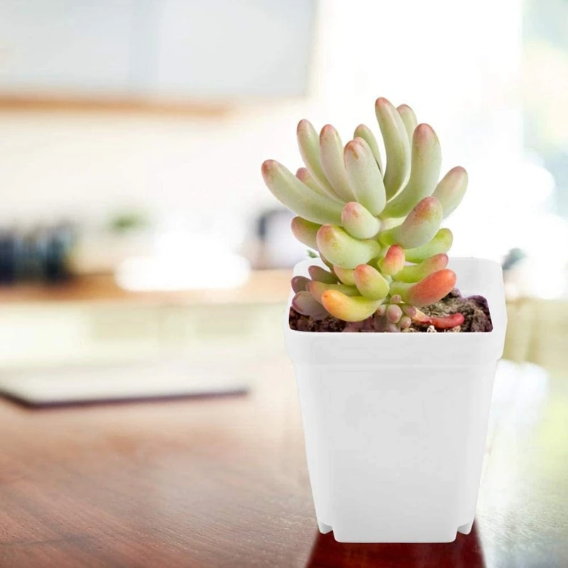 50 Pack 2.7Inch White Square Plastic Plant Pots with Saucer Seedling Nursery Transplanting Planter Container for Garden | Дом и сад
