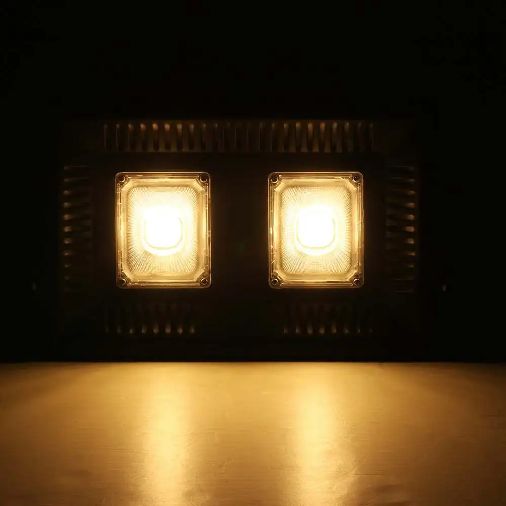 

100W LED Flood Light Waterproof IP66 Spotlight Outdoor Garden Lamp Landscape Spotlight AC185-260V
