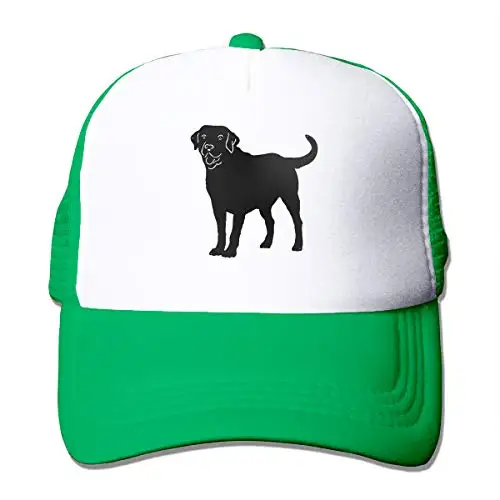 

Unisex Mesh Hats Labrador Retriever Dog Adjustable Snapback Cricket Cap