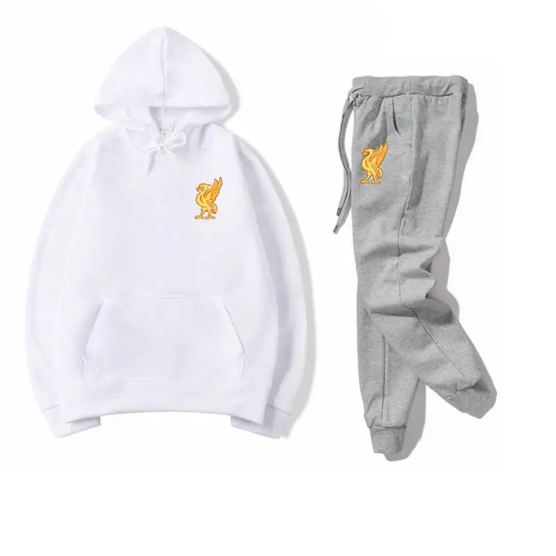 Спортивный костюм, модная спортивная одежда, комплект из двух предметов, хлопковая флисовая толстовка с капюшоном+ штаны, спортивный костюм для мужчин