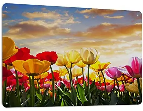 

Metal Sign Tulip Flower Field At Sunset Cloud Pink Yellow Vintage Family Panda Wall Art Deco Retro Metal Sign 12x8 Inch