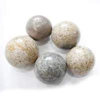 1 kg natural brown shell fossil crystal spheres for home decoration