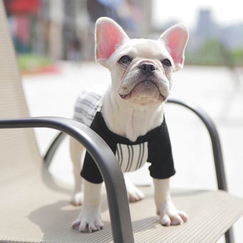 

Dog T-shirt Poodle Schnauzer Pug French Bulldog Clothes Autumn Winter Pet Clothing Welsh Corgi Costume Shirt Outfit Dropshipping