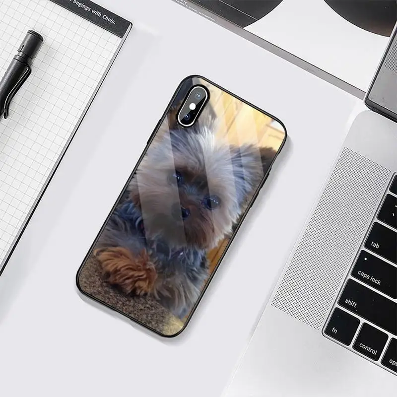 

Yorkshire Terrier dog Phone Case Tempered glass For iphone 6 6S 7 8 plus X XS XR 11 12 mini PRO MAX