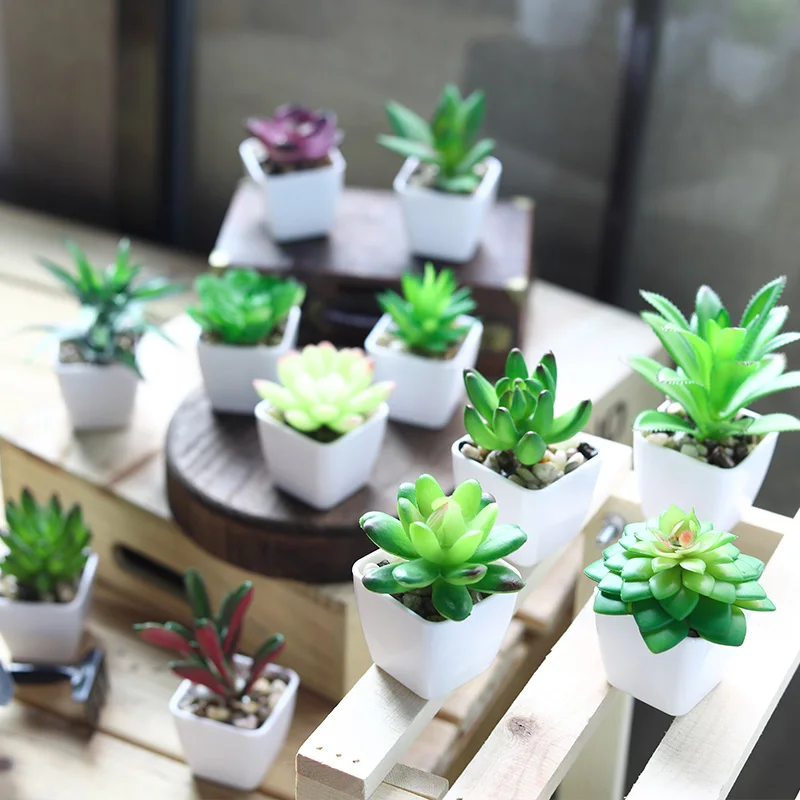 1 шт. супер милые мини суккуленты искусственные растения бонсай для дома