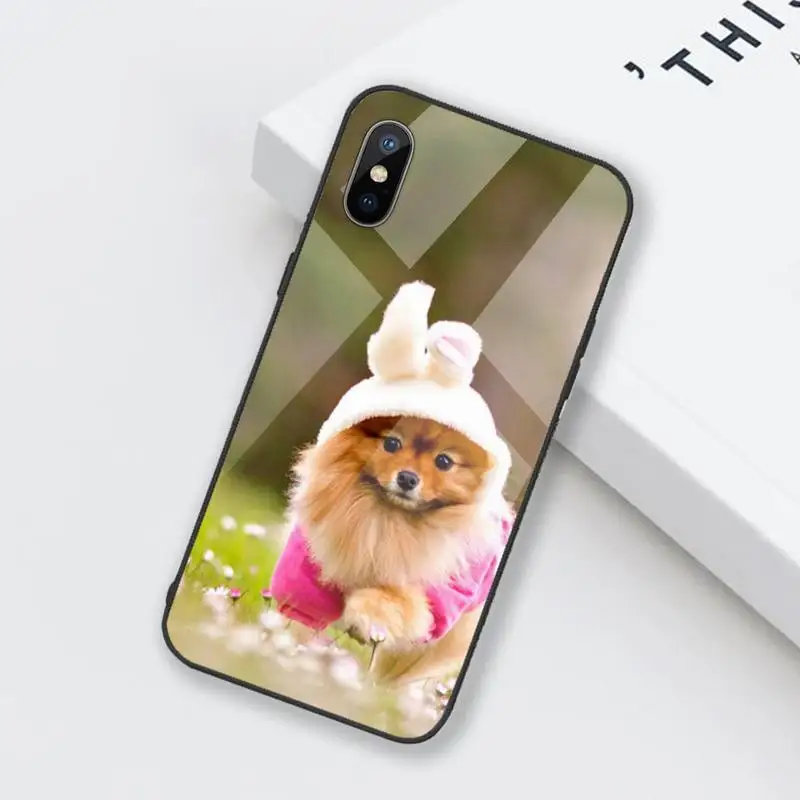 

Pomeranian dogs dog Phone Case Tempered glass For iphone 6 6S 7 8 plus X XS XR 11 12 mini PRO MAX