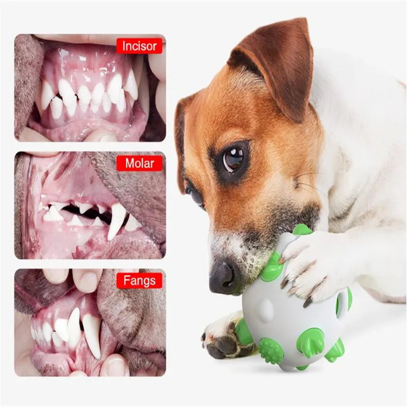 Ttoy Fun Iinteractive эластичный резиновый шарик молярная Чистка прочный мяч товары для