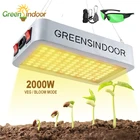 Фитолампа полного спектра Greensindoor для выращивания растений, светодиодная лампа двойного управления с овощами и цветами, 2000 в, 220 Вт