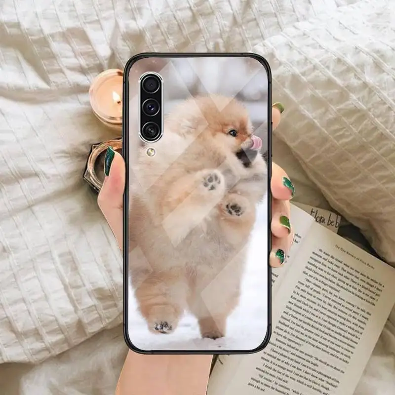 

Pomeranian dogs dog cute Phone Case Tempered glass For Samsung S6 S7 edge S8 S9 S10 e plus note8 9 10 pro