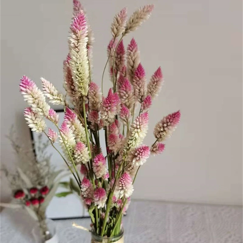 

10pcs Dry Flowers Pink Decor Natural Dried Plants Ornaments For Living Room Table Outdoor Artificial Grass Home Decoration